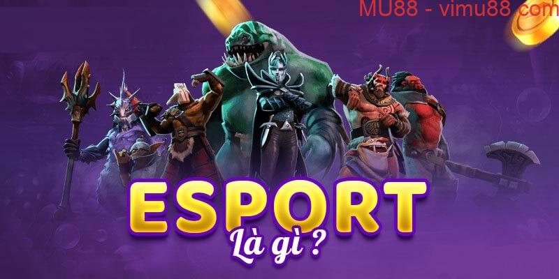 Một số lưu ý đặc biệt khi chơi Esports