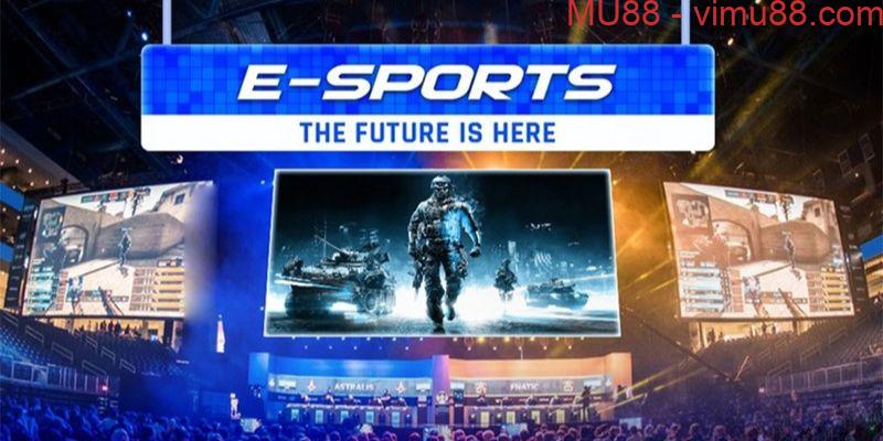 Cược Esports trên điện thoại được không?